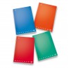 Maxi Quaderno Monocromo Q.R. Quadretto/Rigo 18+1 Fogli 100 Gr - Colori Assortiti