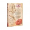 Taccuino Midi A Righe Paperblanks Giglio & Pomodoro, Mira Botanica 176 Pagine 100 Gr