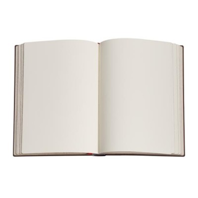 Taccuino Ultra Fogli Binachi Paperblanks LA FATA OLIVA, I Libri delle Fate di Lang 144 Pagine 120 Gr